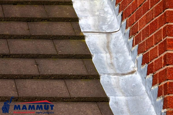 کاربرد فلاشینگ