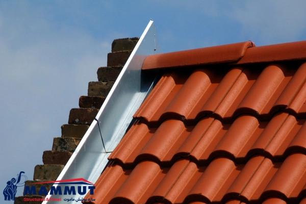 انواع فلاشینگ